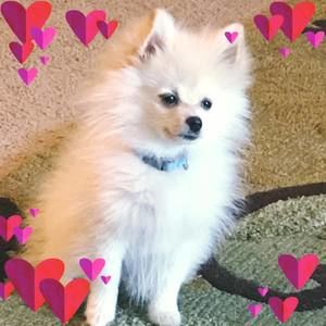 Meet your Posher, Rosario